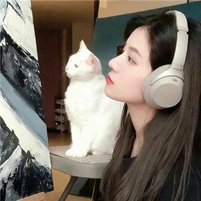 婊兄弟上路